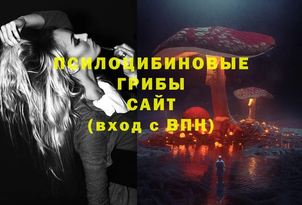 эйфоретик Верея