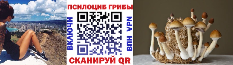 Псилоцибиновые грибы GOLDEN TEACHER  гидра ТОР  Назарово 